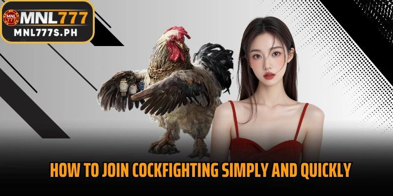 How to join cockfighting simply and quickly