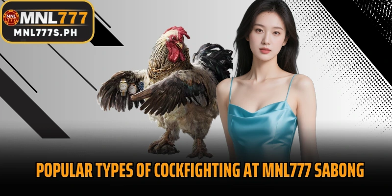 Popular types of cockfighting at MNL777 Sabong