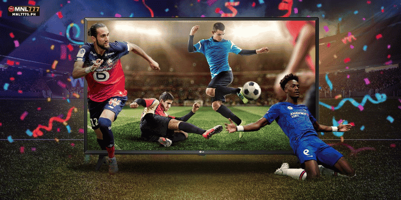 Top 5 Reasons to Join 8k8 Sportsbook Today!